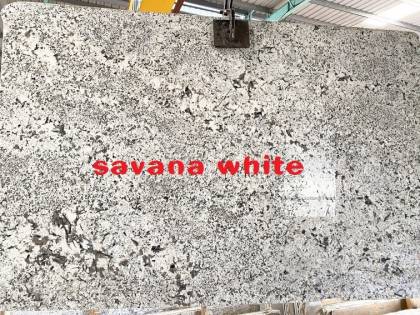 savana white